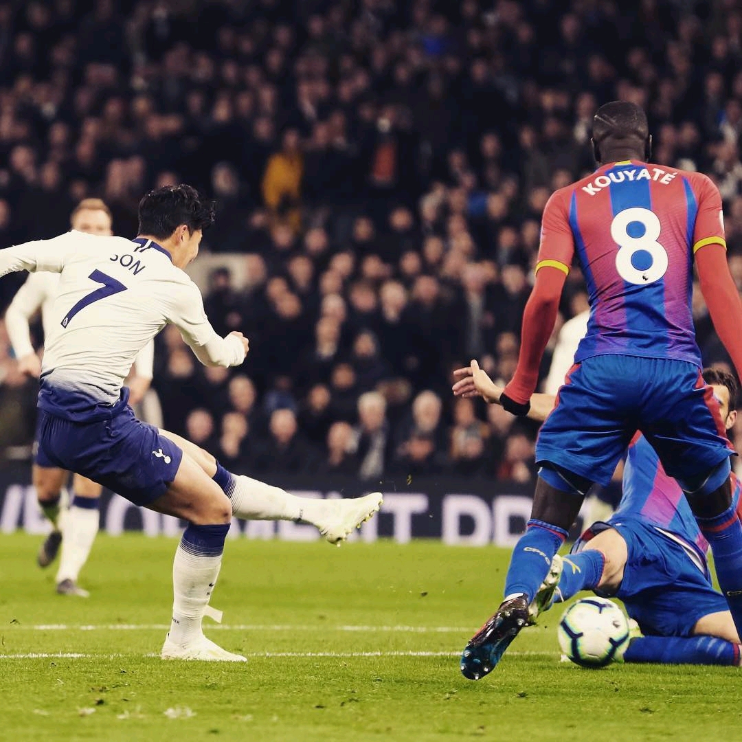 才能已经成 才能已经成