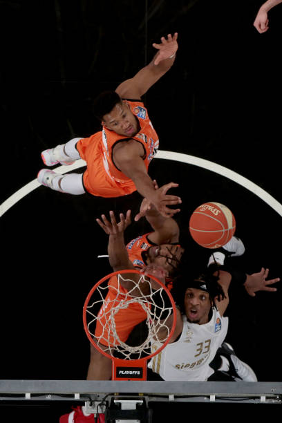 可或缺的元 可或缺的元