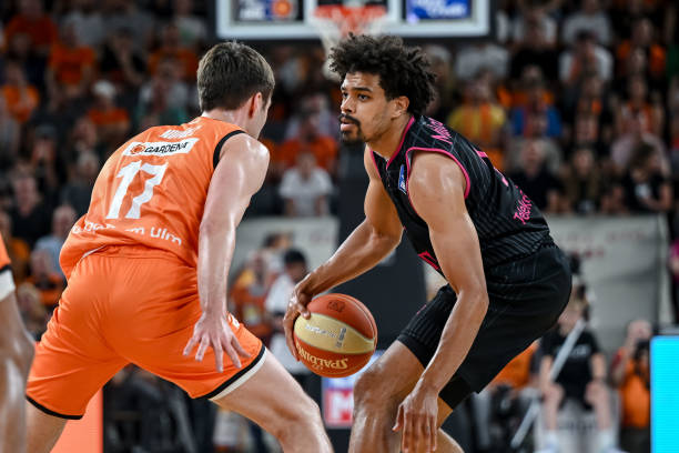 但他们绝对 但他们绝对